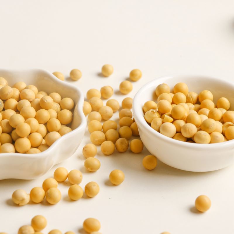 Soya Bean Seeds - Grade #1 Yellow Soybeans, 80-120 Mesh Particle Size, 21.3% Oil Content, 40.8% Minimum Protein, Non-gmo, Fit For Human Consumption