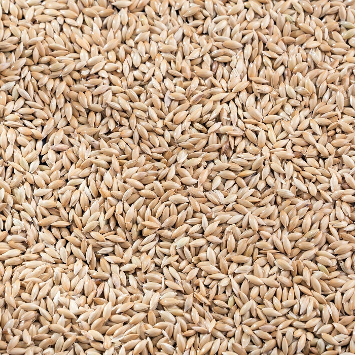 White Sesame Seeds - Premium Quality Nutrient-rich Naturally Gluten-free High In Protein And Healthy Fats
