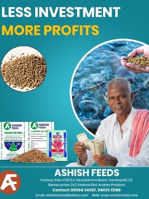 Sinking Fish Feed