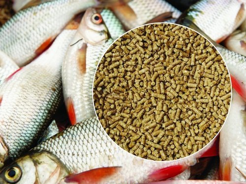Sinking Fish Feed