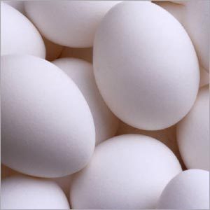 सफेद मुर्गी का अंडा