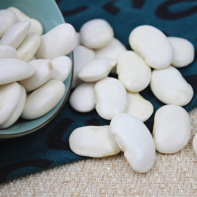 White Kidney Beans High Quality