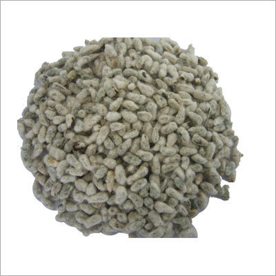 Cottonseed