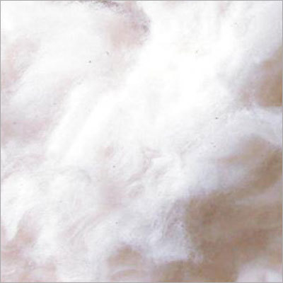 कॉम्बर नोइल