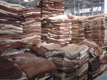 Salted Cow Hides - Genuine Leather Wet And Dry Salted Donkey & Goat Skins | High-quality Impurity-free No Cuts Or Holes Machine And Hand Flayed Minimum Weight 30 Kgs