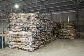 Salted Cow Hides Genuine Leather Dry And Wet Salted Donkey/goat Skin /Wet Salted Cow Hides