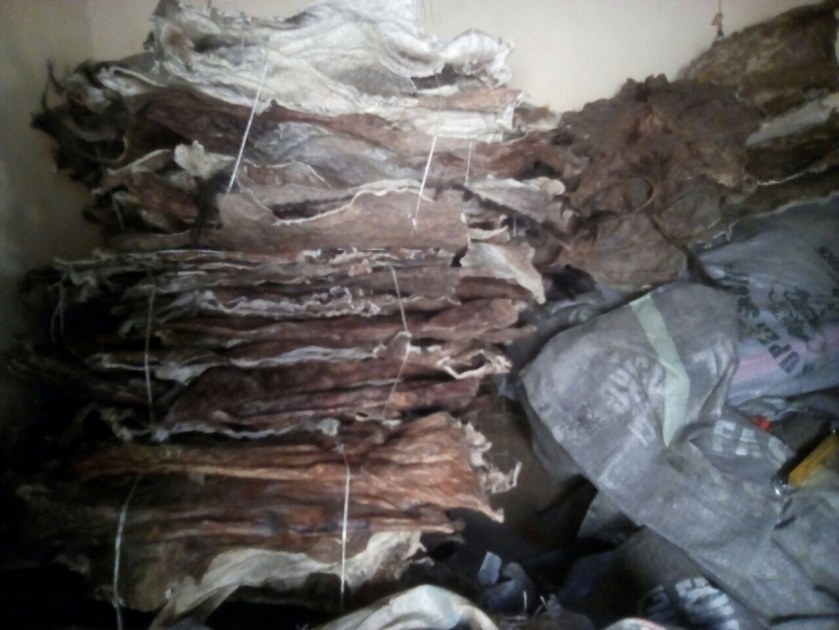 Salted Cow Hides Genuine Leather Dry And Wet Salted Donkey/goat Skin /Wet Salted Cow Hides
