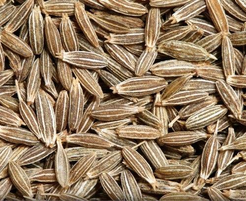 High Quality Nature Cumin Seeds Wholesale