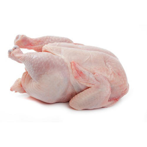 Frozen Meat