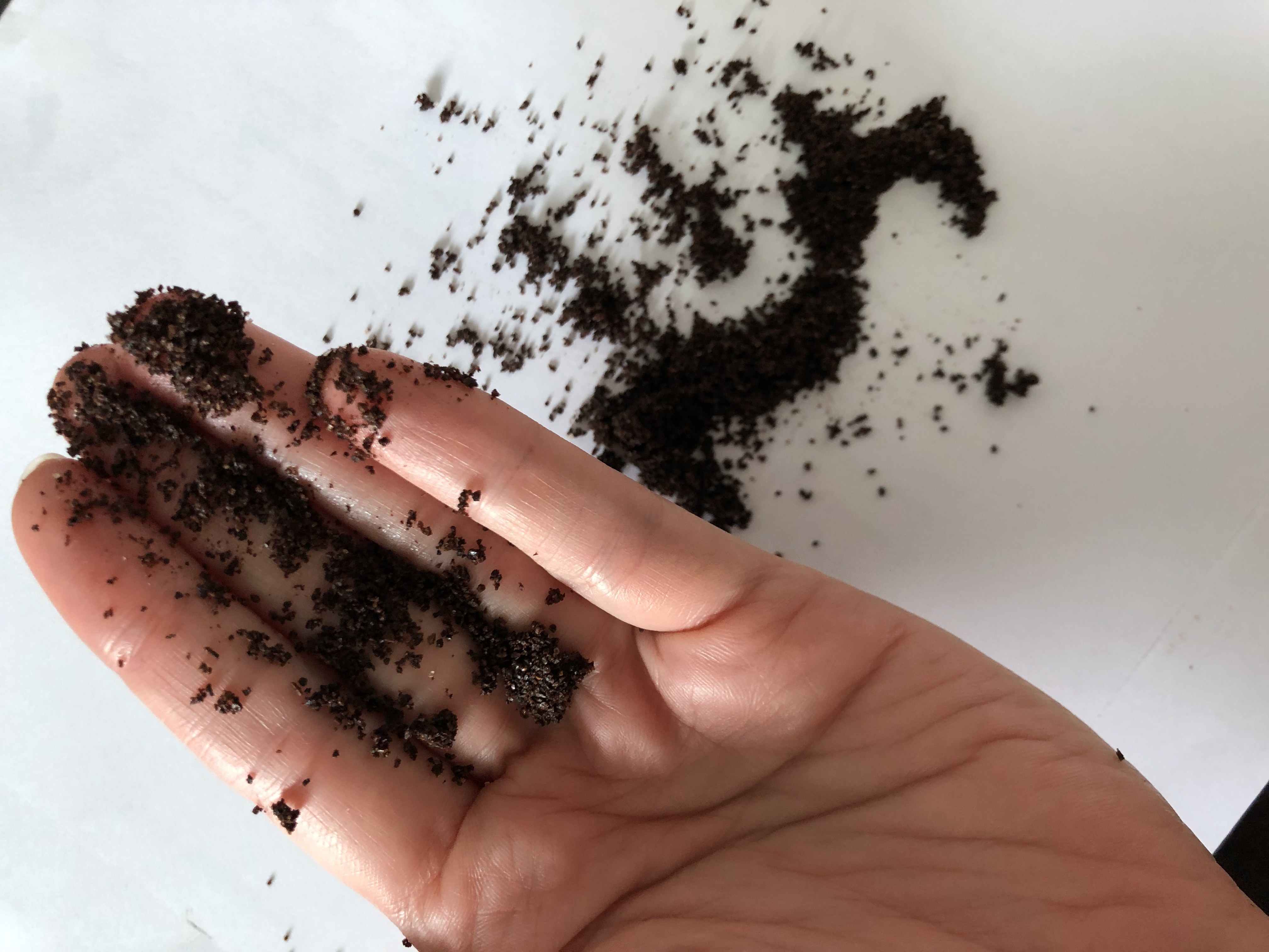 Safe To Use Coffee Scrub