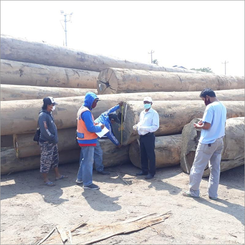 लकड़ी का निरीक्षण