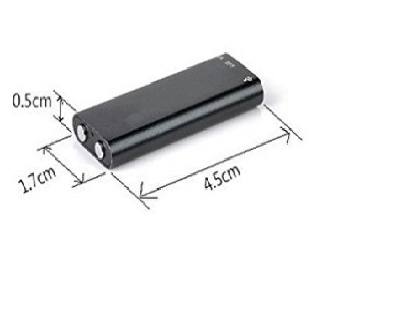 Digital Voice Recorder Output Formats: Avi