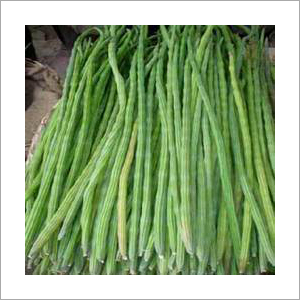 ढोल का छड़ी