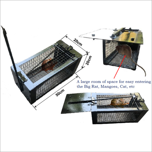 बड़ा चूहा जाल