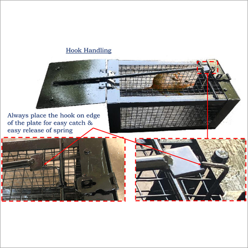 हुक हैंडलिंग रैट ट्रैप