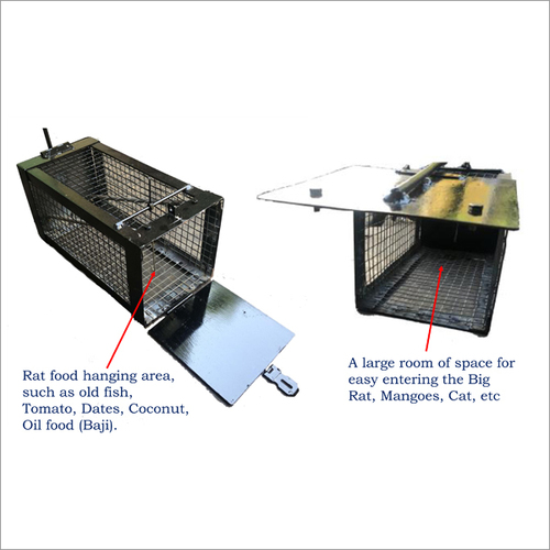 छोटा चूहा जाल