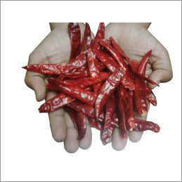 Red Sannam Stemless Chilli