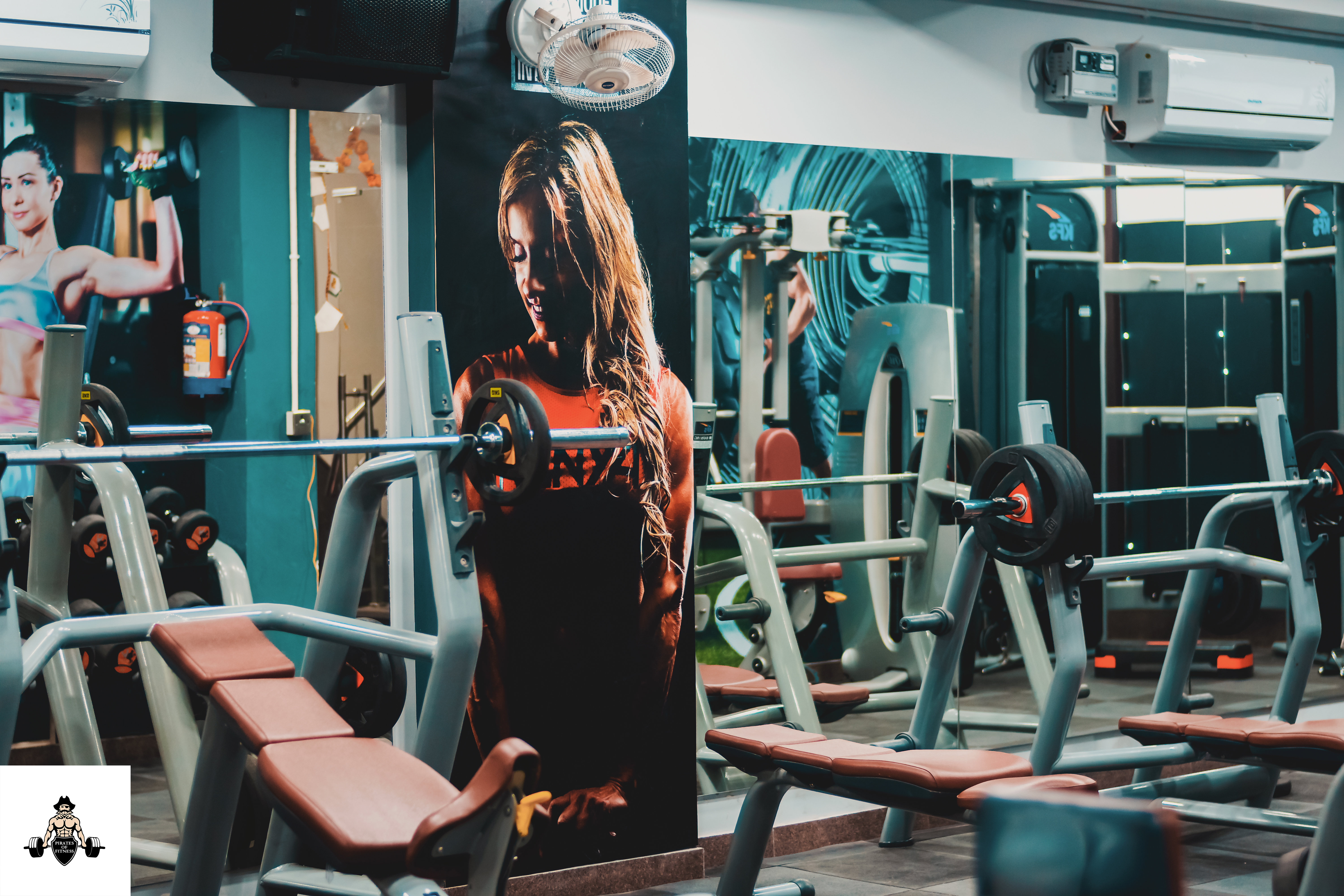 Gym Setup Services Application: Endurance