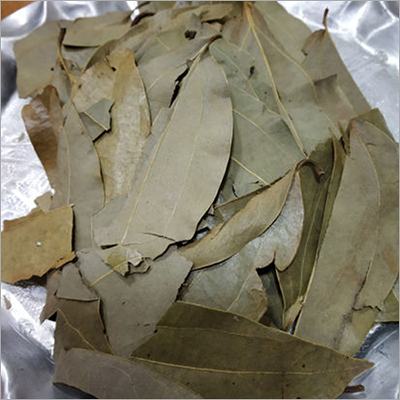 Briyani Leaf - Raw Natural Ingredients | Authentic Flavor Enhancer for Culinary Delights and Traditional Dishes
