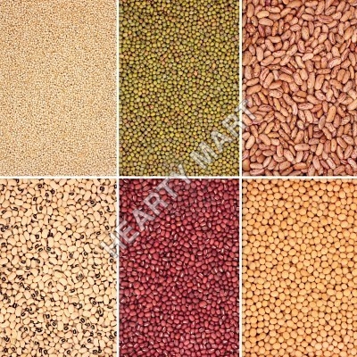 Grains And Pulses