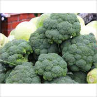 ताजा ब्रोकोली