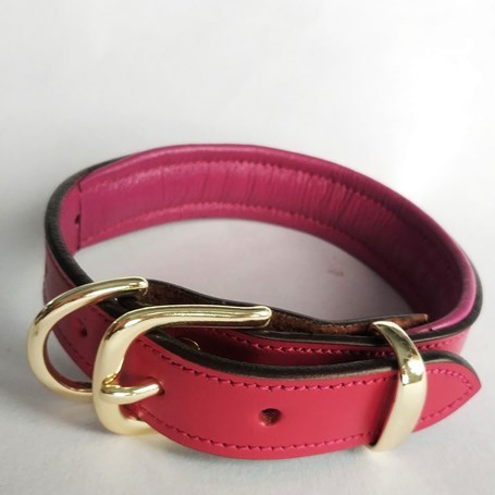 Plain Padded Leather Dog And Cat Collar Size: Extra Small