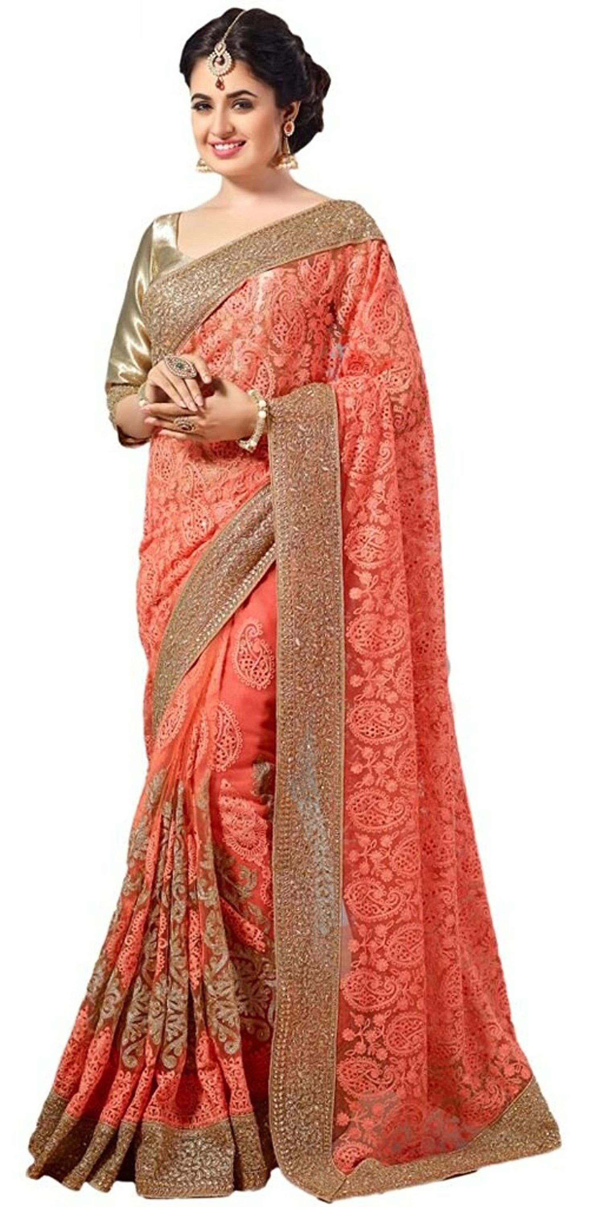 Beige Net Heavy Stone Embroidery Work Saree