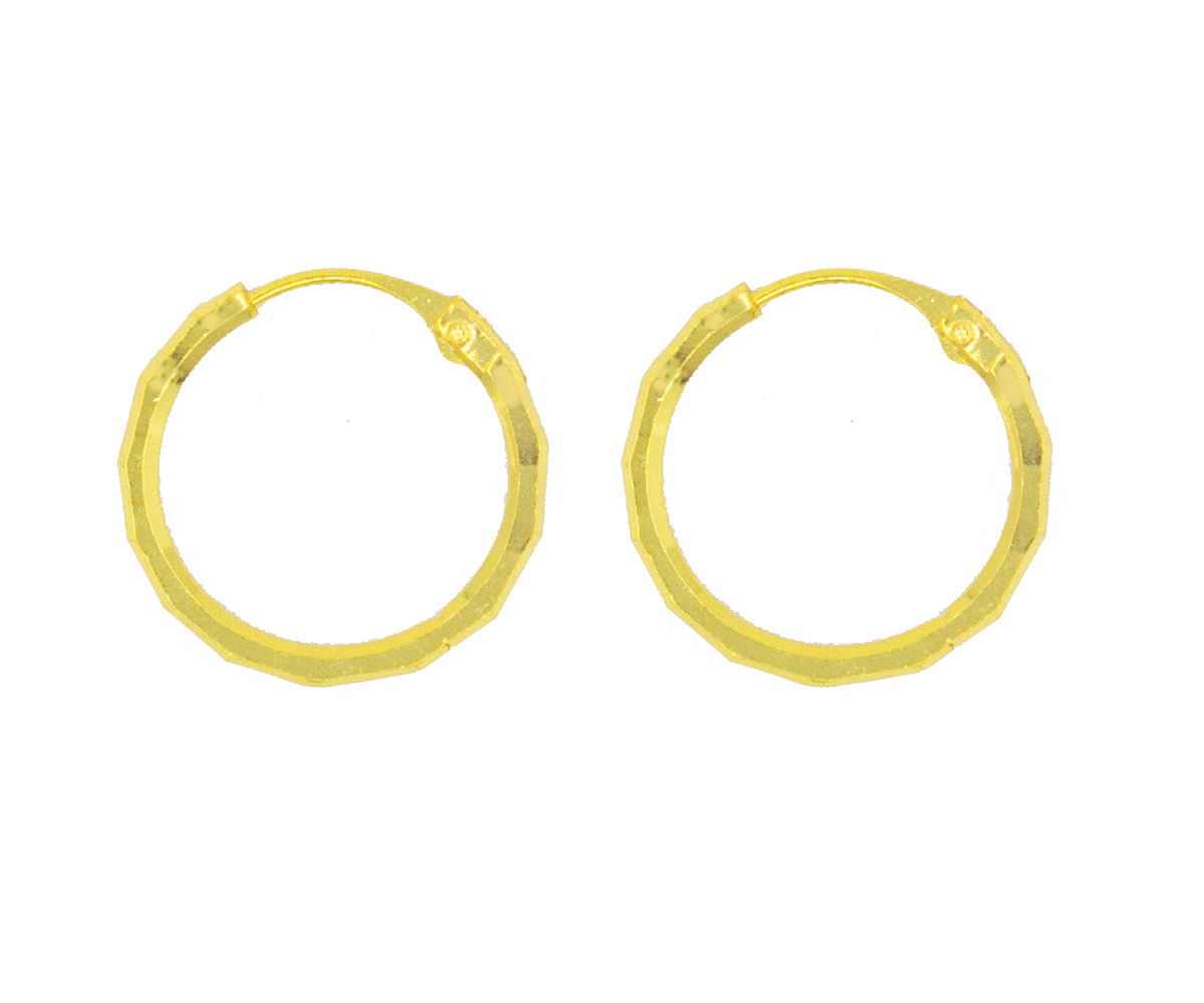 Golden Color Gold Plated Hoops Earrings