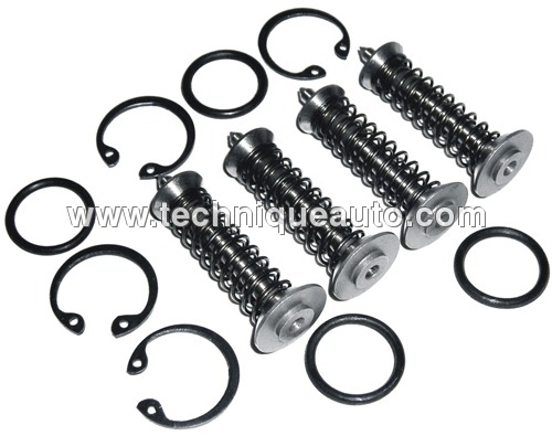 Black And Silver Valve Chamber Full Kit 