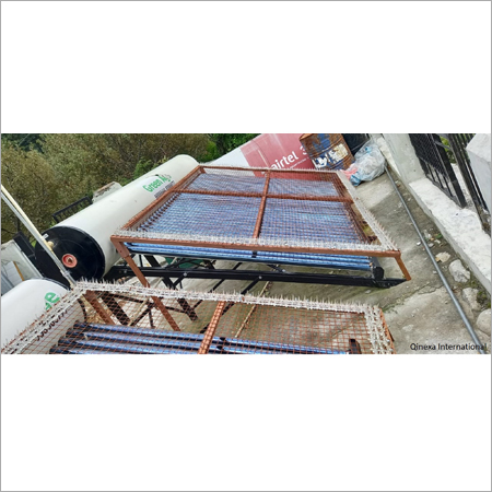 बंदर स्पाइक