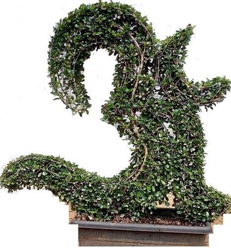 Green Hindu Sacred Ohm Symbol Topiary