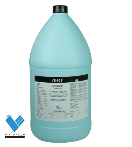 भूतल अजीवाणु