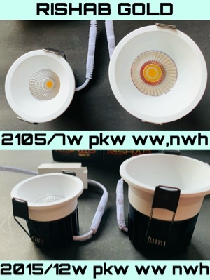 Cool White Led Cob Light
