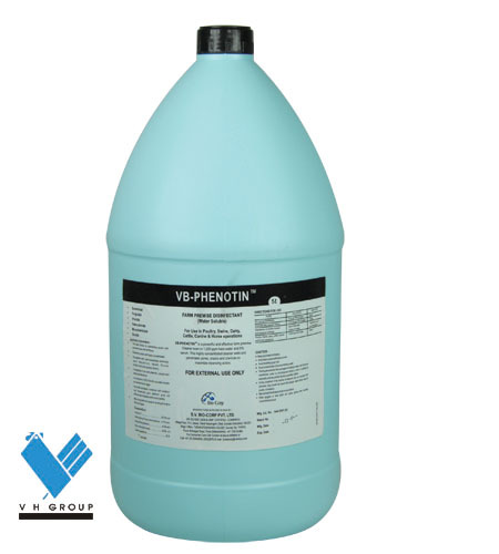 भूतल अजीवाणु