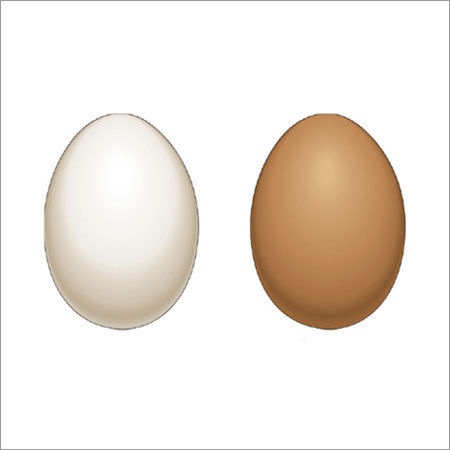 White Brown Egg