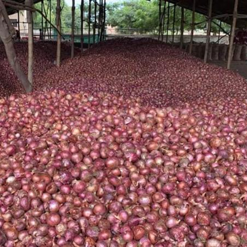 35 Fresh Red Onion