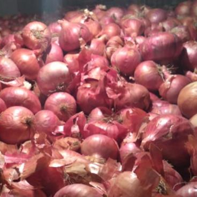 35 Fresh Red Onion