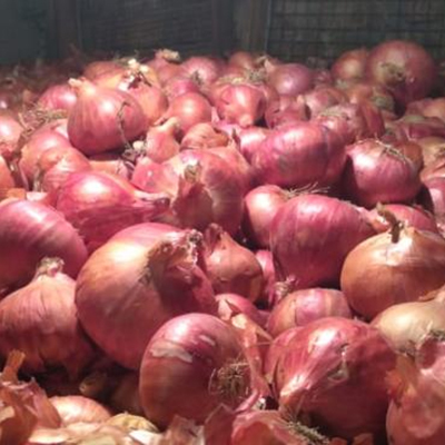35 Fresh Red Onion