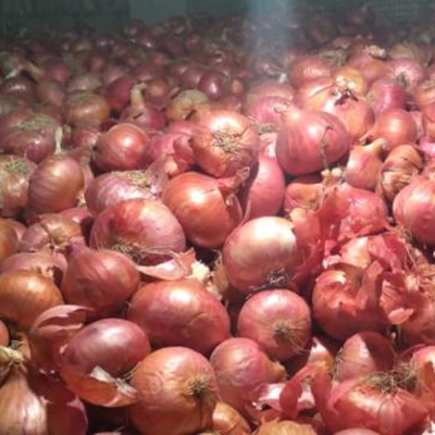 35 Fresh Red Onion