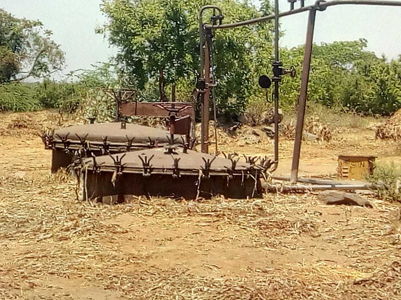 Citronella Oil - High Purity Liquid Essential Oil | 24 Months Shelf Life, Store In Dry Place