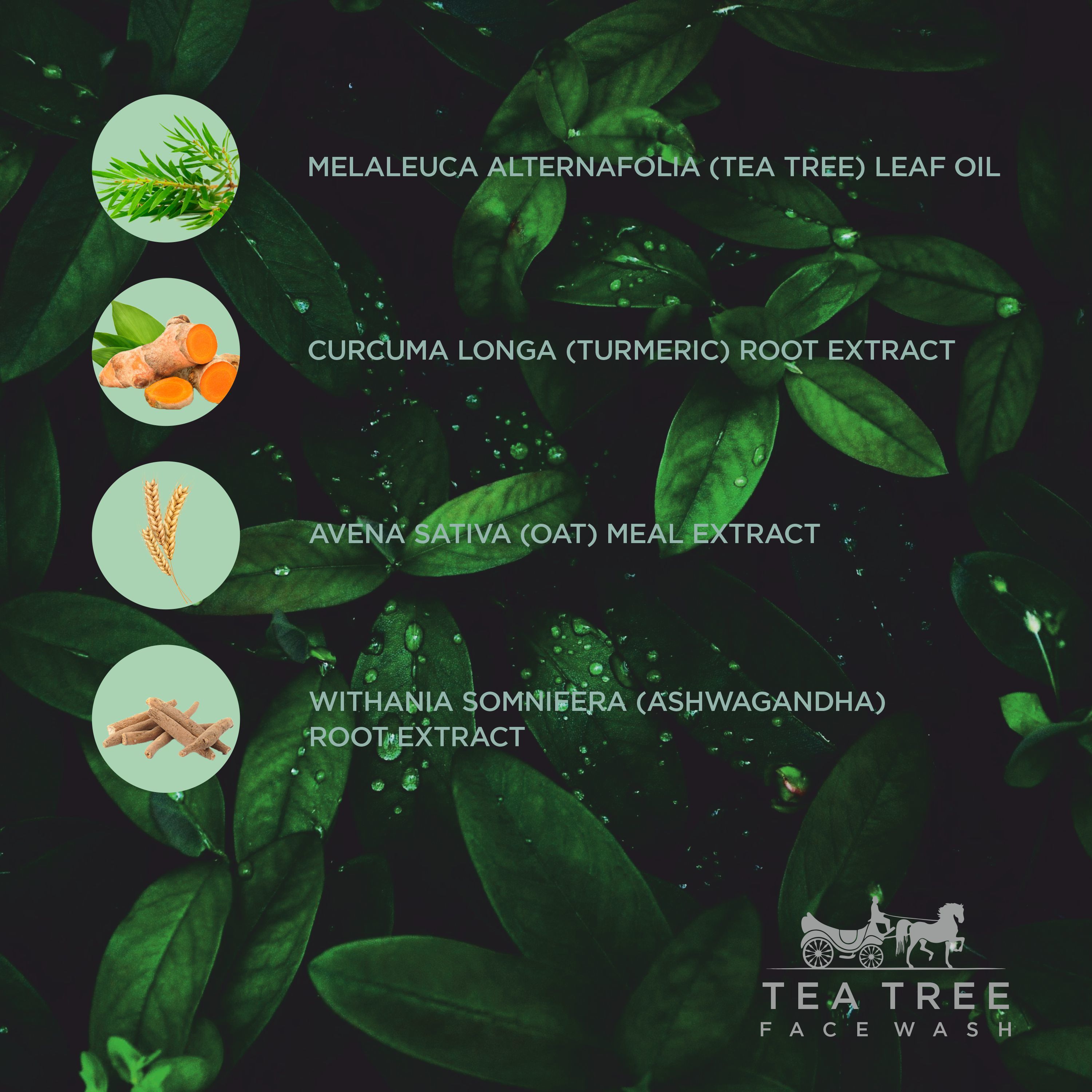 Tea Tree Face Wash - Liquid Formula, Green Color | Alcohol-free, Gentle Cleanser For All Skin Types, 100% Safe And Free From Harmful Chemicals, Deep Cleansing For Smooth & Soft Skin