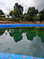 Ldpe Pond Liner Sheets - LDPE/HDPE, 5 Meter Width, Available in Various Colours | Custom Sizes for Aquaculture and Liquid Storage Solutions