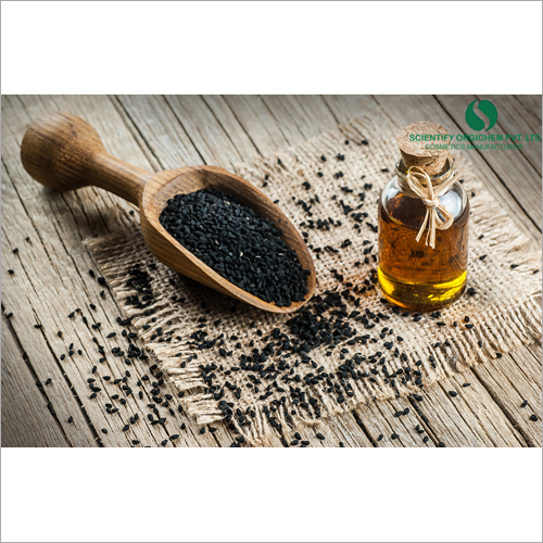 Black Seed Hair Conditioner - Gel Form, Black Color | Nourishes, Reduces Hair Fall, Smoothens Strands, Suitable for All Hair Types