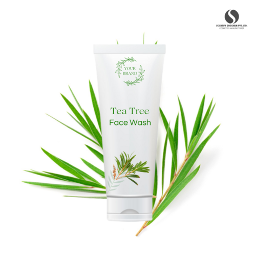 Tea Tree Face Wash - Age Group: A  Adult