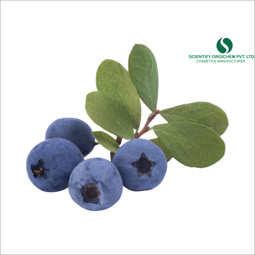 ब्लूबेरी लिप बाम