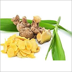 फ्रेश फलाई