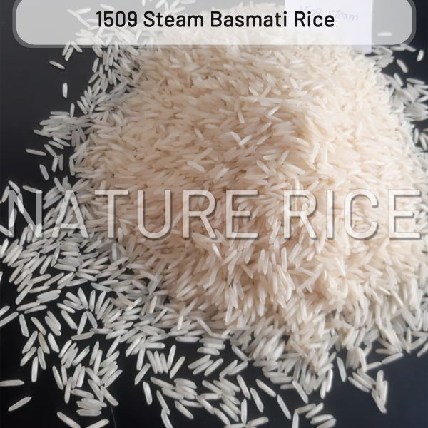 1509 Steam Basmati Rice - 95% Purity, Moisture 12% Max, Grain Length 8.35-8.4mm, Broken 1-2% Max, Multiple Packing Options Available, Excellent Aroma And Taste