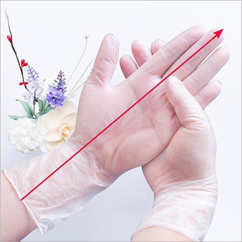 Disposable Pvc Gloves
