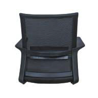 SS Wing Net Back
