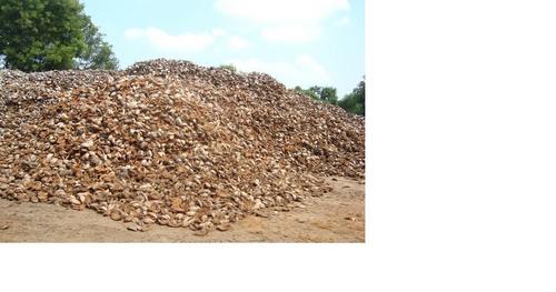 कच्चा रेशा 1